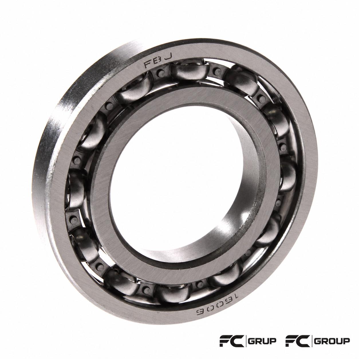 16006 FBJ RULMAN